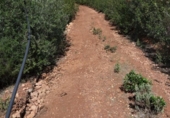 Non-developable land for sale on España, Alburquerque, ref: TR320786 photo