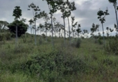 Non-developable land for sale on España, Alburquerque, ref: TR320786 photo