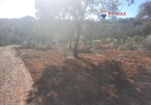 Non-developable land for sale on España, Alburquerque, ref: TR320786 photo