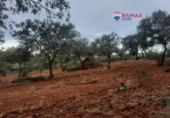 Non-developable land for sale on España, Alburquerque, ref: TR320786 photo