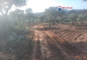 Non-developable land for sale on España, Alburquerque, ref: TR320786 photo