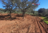 Non-developable land for sale on España, Alburquerque, ref: TR320786 photo