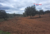 Non-developable land for sale on España, Alburquerque, ref: TR320786 photo