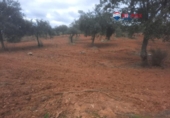 Non-developable land for sale on España, Alburquerque, ref: TR320786 photo