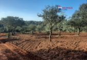 Non-developable land for sale on España, Alburquerque, ref: TR320786 photo