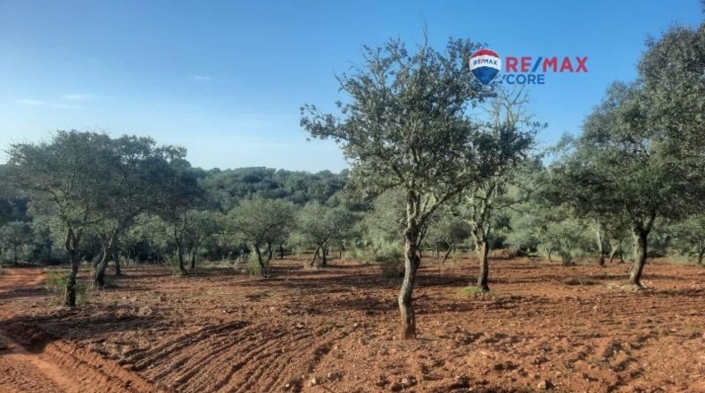Badajoz - Alburquerque - 400000m2