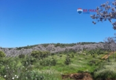 Non-developable land for sale on España, Alburquerque, ref: TR320786 photo
