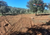 Non-developable land for sale on España, Alburquerque, ref: TR320786 photo