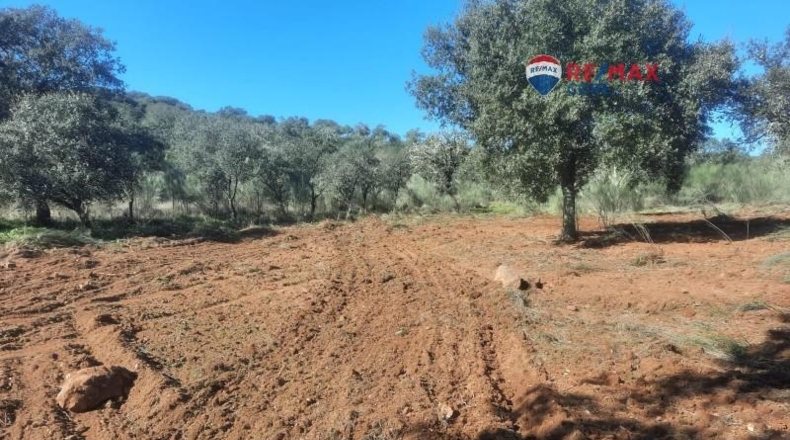 Badajoz - Alburquerque - 400000m2