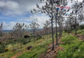 Non-developable land for sale on España, Alburquerque, ref: TR320786 photo