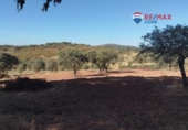 Non-developable land for sale on España, Alburquerque, ref: TR320786 photo