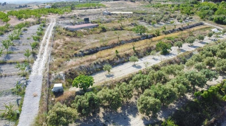 Almeria - Purchena - 10274m2