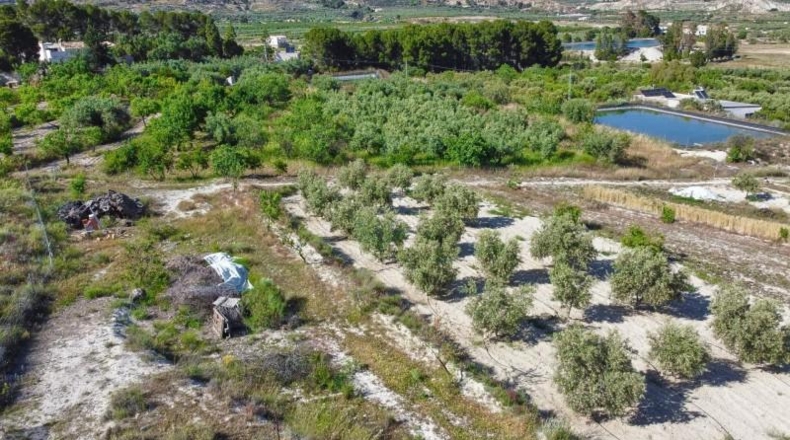 Almeria - Purchena - 10274m2