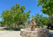 Casa de camp amb terreny en venda a la España, Purchena, ref.: TR254771 foto