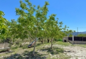 Casa de camp amb terreny en venda a la España, Purchena, ref.: TR254771 foto