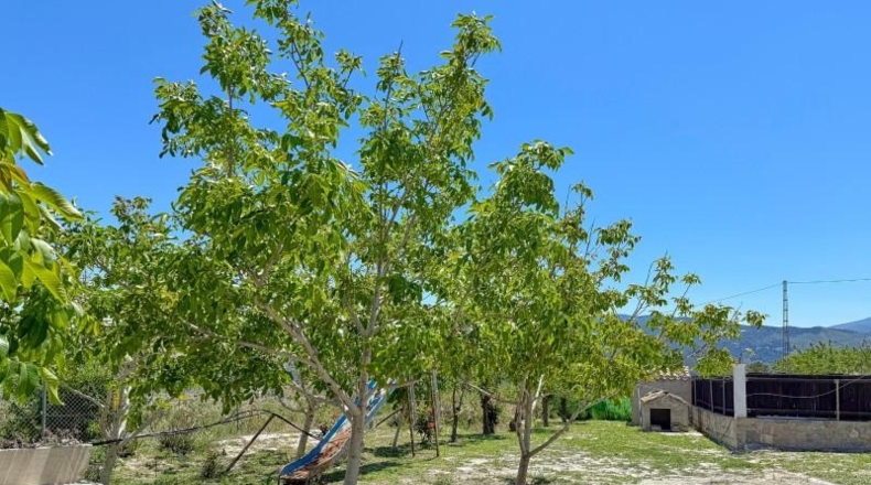 Almeria - Purchena - 10274m2