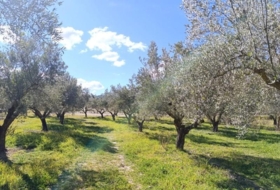 Alcoi 10000&nbsp;m² 