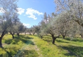 Casa de campo con terreno en venta en la España, Alcoy, ref: TR382315 foto