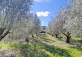 Casa de campo con terreno en venta en la España, Alcoy, ref: TR382315 foto