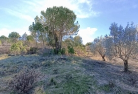 Alcoi 10000&nbsp;m² 