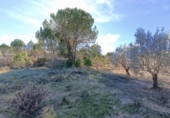Casa de campo con terreno en venta en la España, Alcoy, ref: TR382315 foto