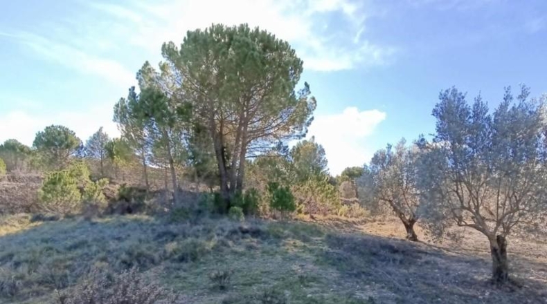 Alicante - Alcoy - 10000m2