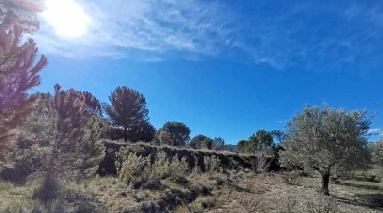 Alicante - Alcoy - 10000m2