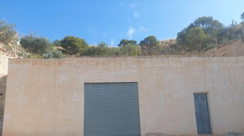 Alicante - Кревильенте - 2600m2