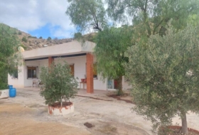 Crevillent 2600&nbsp;m² 