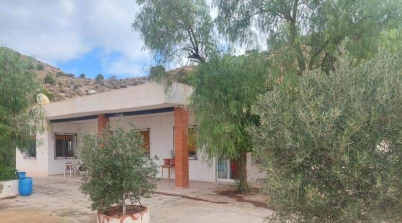 Alicante - Кревильенте - 2600m2