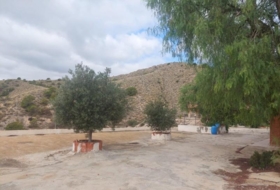 Crevillent 2600&nbsp;m² 