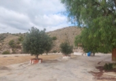 Casa de camp amb terreny en venda a la España, Crevillent, ref.: TR355324 foto