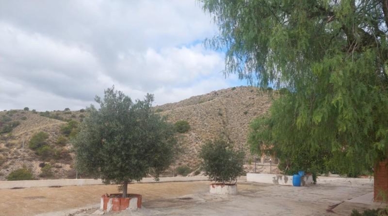 Alicante - Кревильенте - 2600m2
