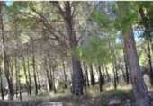Suelo urbano en venta en la España, Benicasim, ref: TR172432 foto