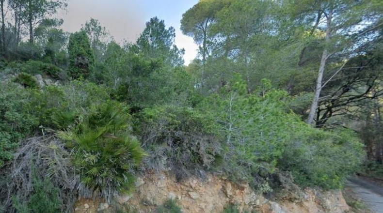 Castellon - Benicasim - 6542m2