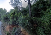Non-developable land for sale on España, Benicàssim, ref: TR237247 photo