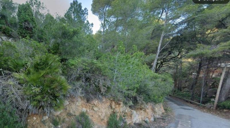 Castellon - Benicasim - 6542m2