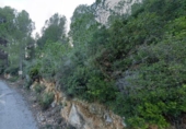 Non-developable land for sale on España, Benicàssim, ref: TR237247 photo
