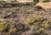 Non-developable land for sale on España, Puebla de Vícar, ref: TR137853 photo