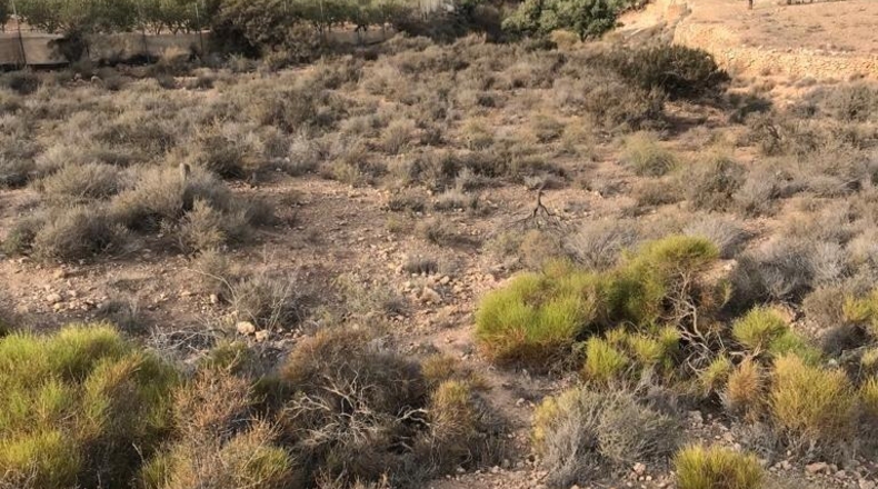 Almería - Vícar - 22700m2