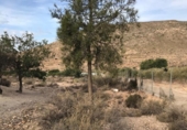 Non-developable land for sale on España, Puebla de Vícar, ref: TR137853 photo