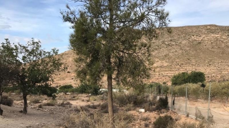 Almería - Vícar - 22700m2