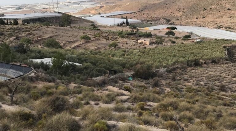 Almería - Vícar - 22700m2