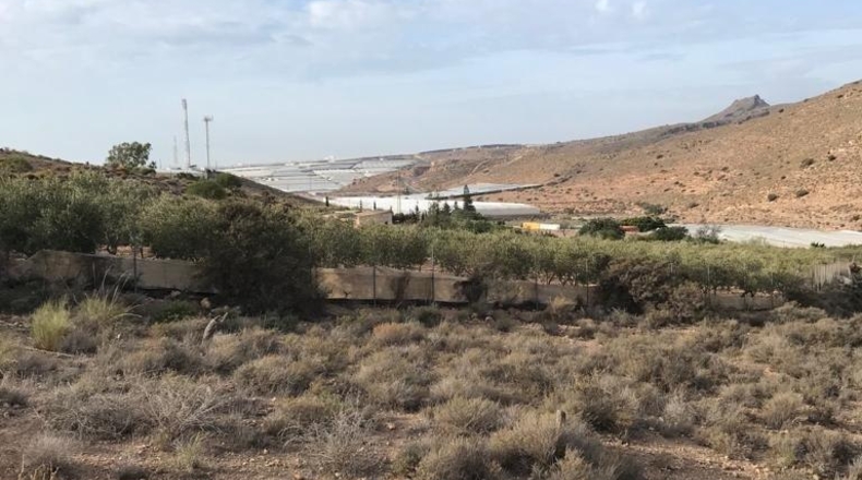 Almería - Vícar - 22700m2