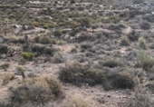 Non-developable land for sale on España, Puebla de Vícar, ref: TR137853 photo
