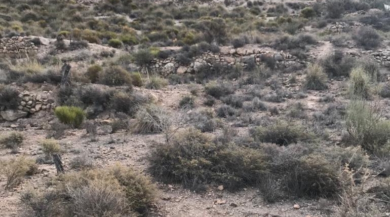 Almería - Vícar - 22700m2