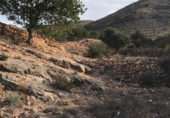 Non-developable land for sale on España, Puebla de Vícar, ref: TR137853 photo