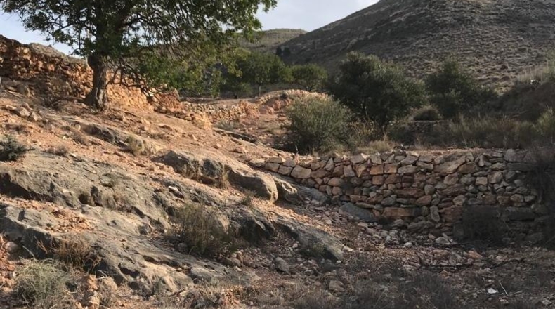 Almería - Vícar - 22700m2