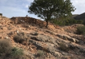 Non-developable land for sale on España, Puebla de Vícar, ref: TR137853 photo
