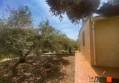 House with land for sale on España, Alcanar, ref: TR295761 photo